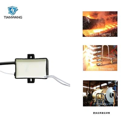 Poročni vžigalnik 12V univerzalni visokonapetostni generator